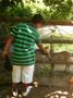 foto 38